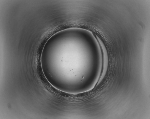 X0000111840740200907231408