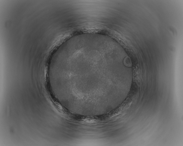 X0000111840742200907231408