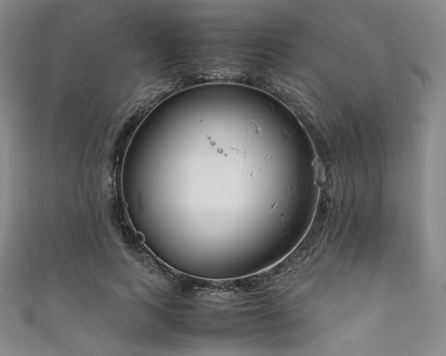 X0000111840743200907231408