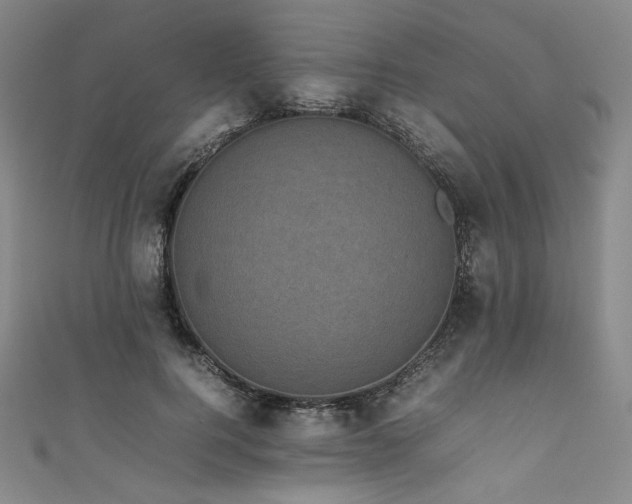 X0000111840744200907231408