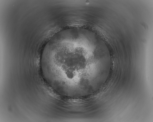 X0000111840745200907231408