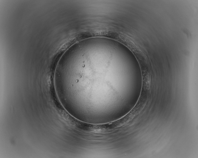 X0000111840746200907231408