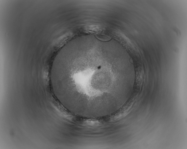 X0000111840749200907231408