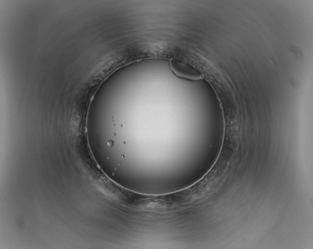 X0000111840750200907231408