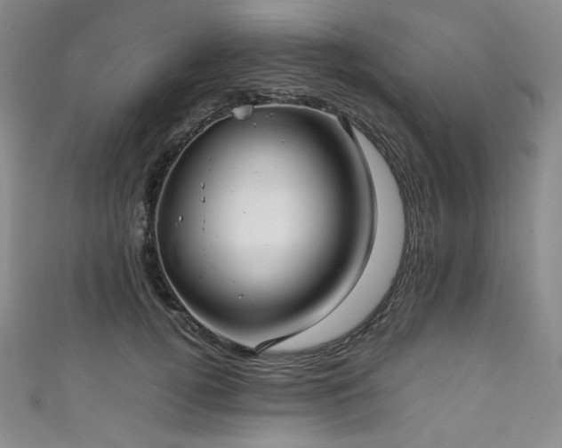 X0000111840752200907231408