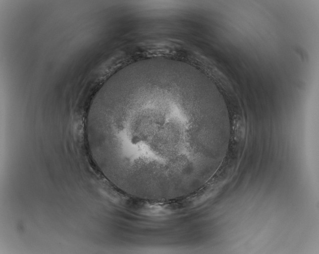 X0000111840753200907231408