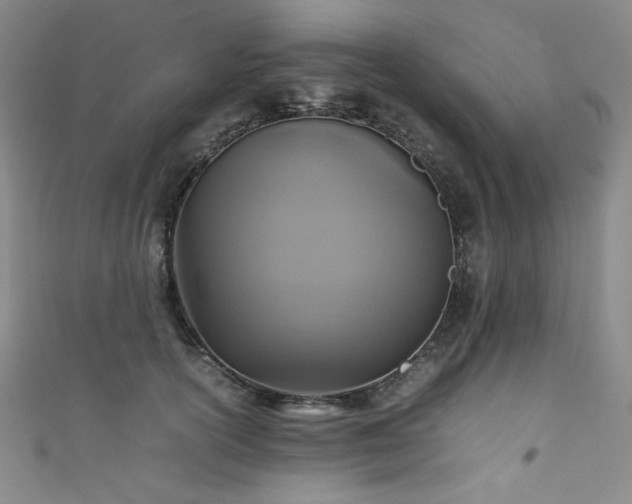 X0000111840754200907231408