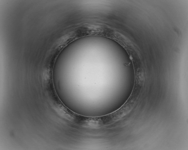 X0000111840756200907231408