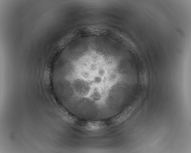 X0000111840757200907231408