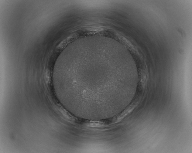 X0000111840758200907231408