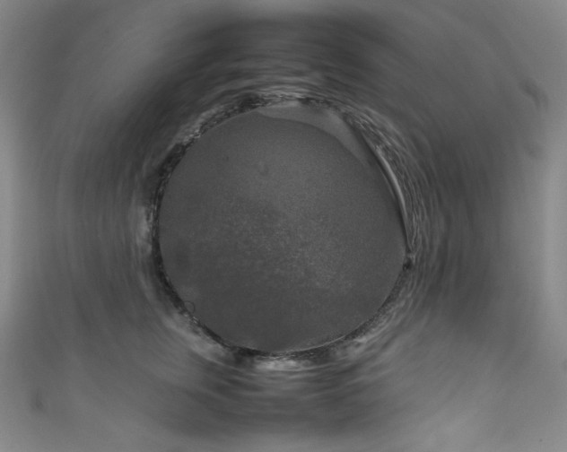 X0000111840759200907231408