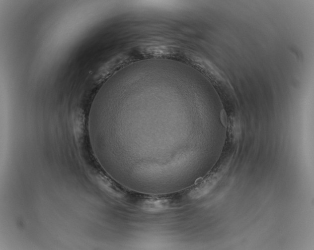 X0000111840760200907231408