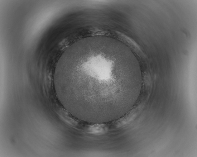 X0000111840761200907231408