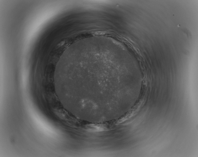 X0000111840763200907231408