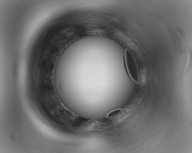 X0000111840764200907231408