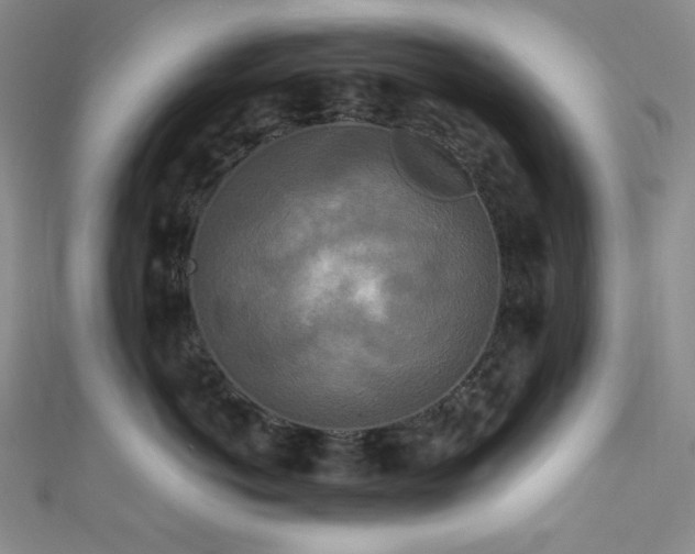 X0000111840766200907231408