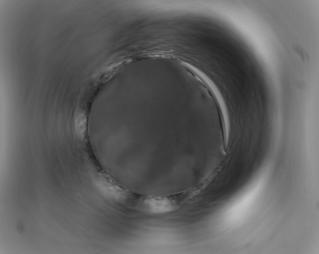 X0000111840767200907231408