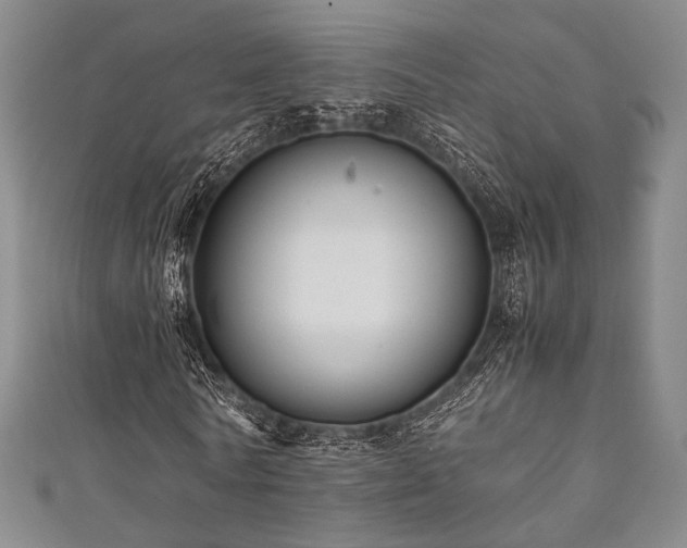 X0000111840770200907231407