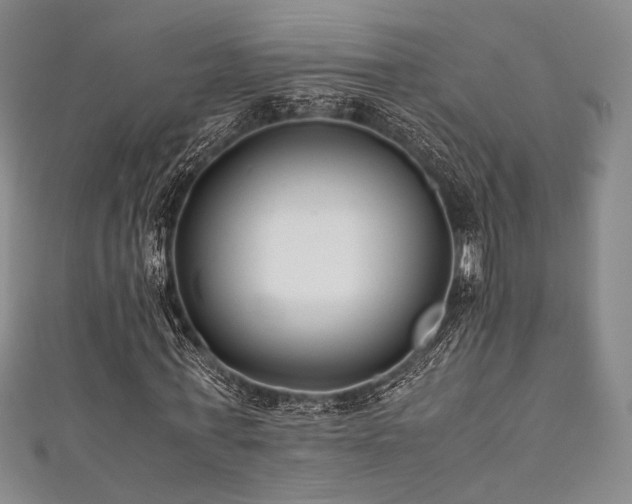 X0000111840771200907231407