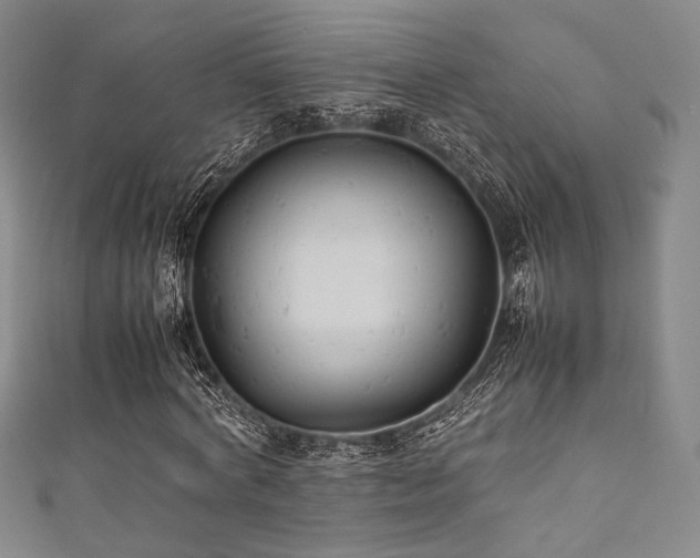 X0000111840772200907231407