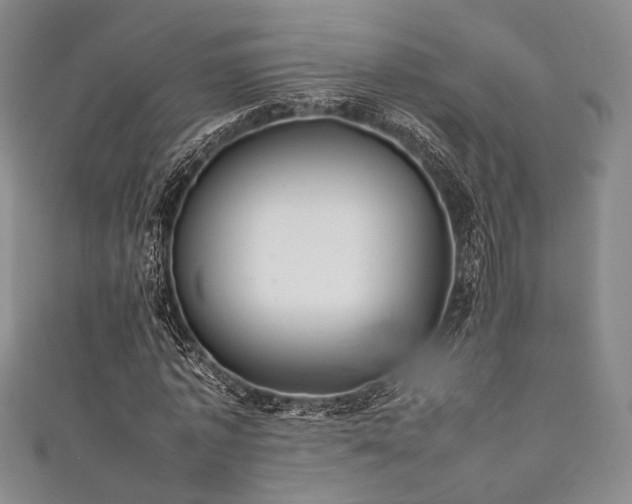 X0000111840773200907231407