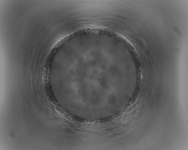 X0000111840775200907231407