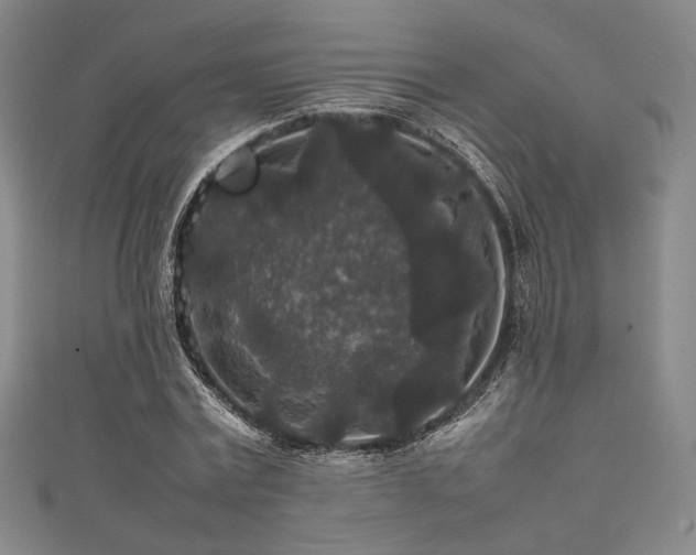 X0000111840779200907231407