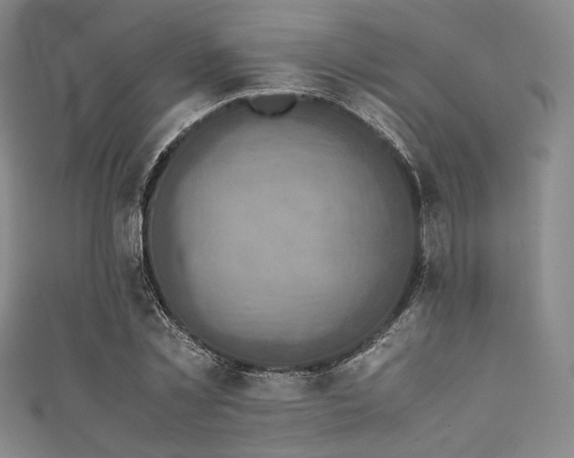 X0000111840781200907231407