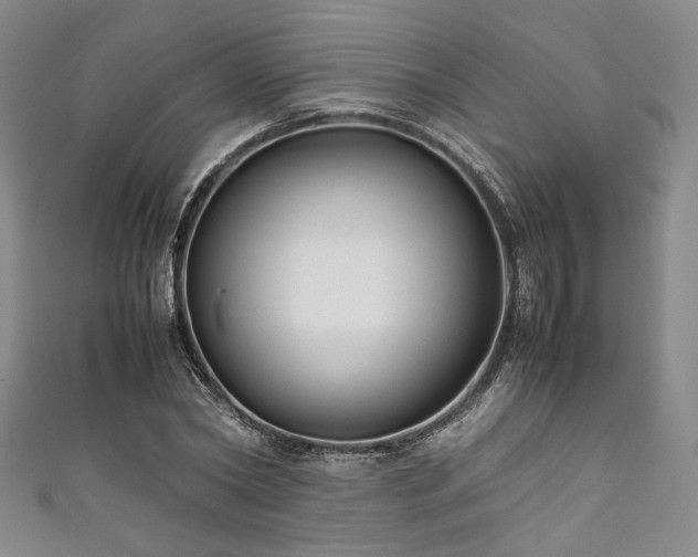 X0000111840782200907231407