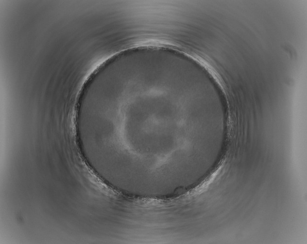 X0000111840783200907231407