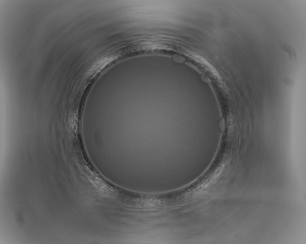 X0000111840785200907231407