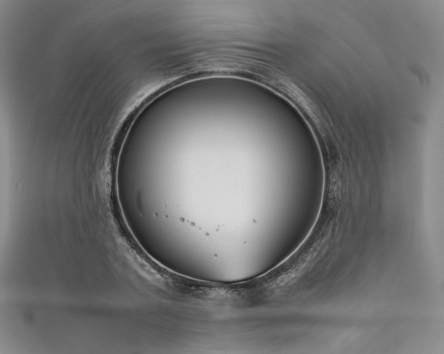 X0000111840787200907231407