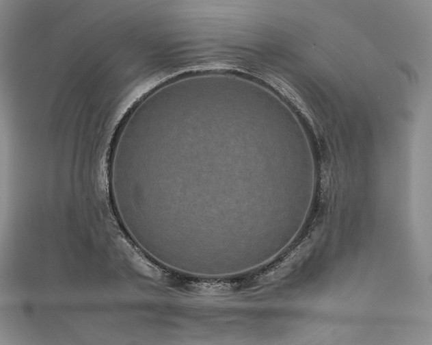 X0000111840789200907231407