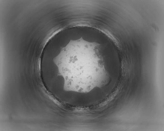 X0000111840790200907231407