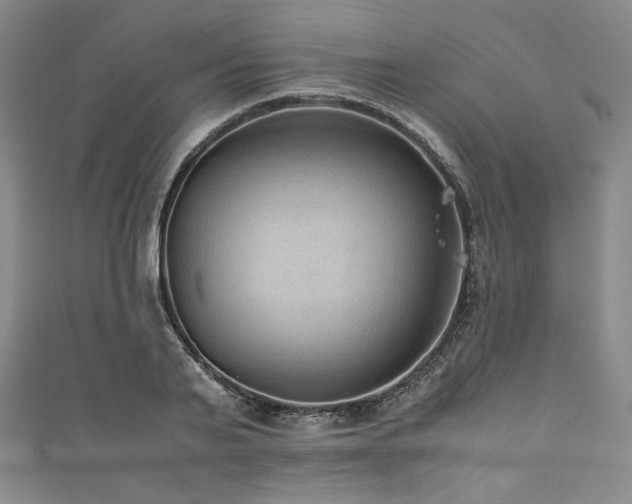 X0000111840791200907231407