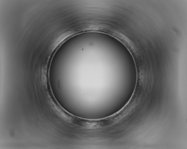 X0000111840794200907231407