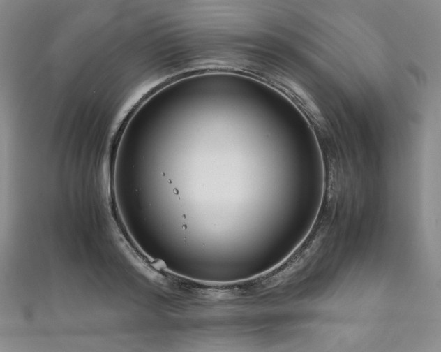 X0000111840796200907231407