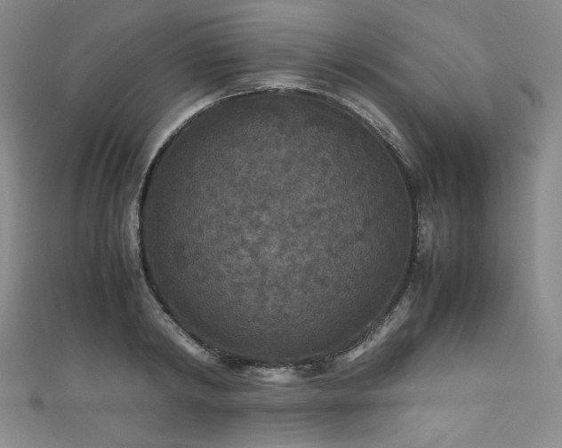 X0000111840798200907231407