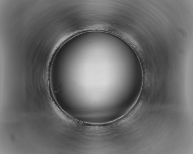 X0000111840800200907231407