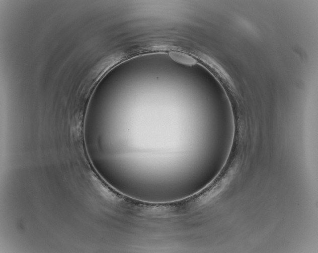 X0000111840801200907231407