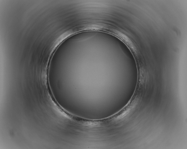 X0000111840802200907231407