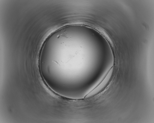 X0000111840805200907231407