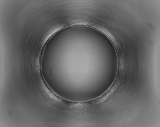 X0000111840806200907231407