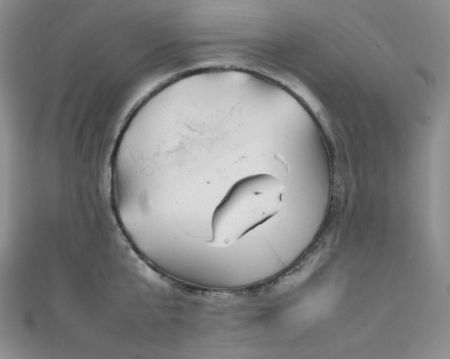 X0000111840807200907231407