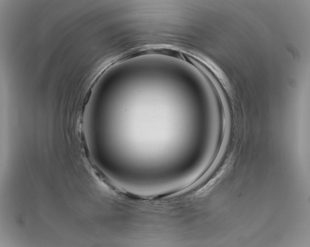 X0000111840809200907231407