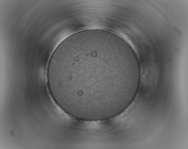 X0000111840810200907231407