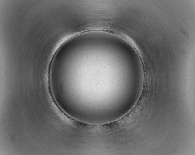 X0000111840811200907231407