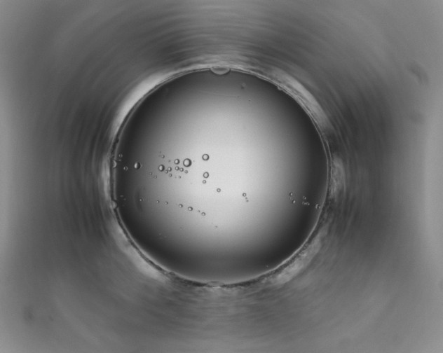 X0000111840812200907231407