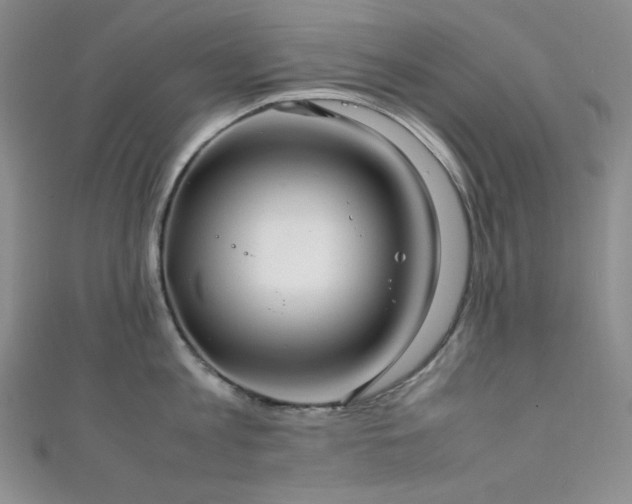 X0000111840813200907231407