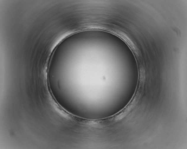 X0000111840814200907231407